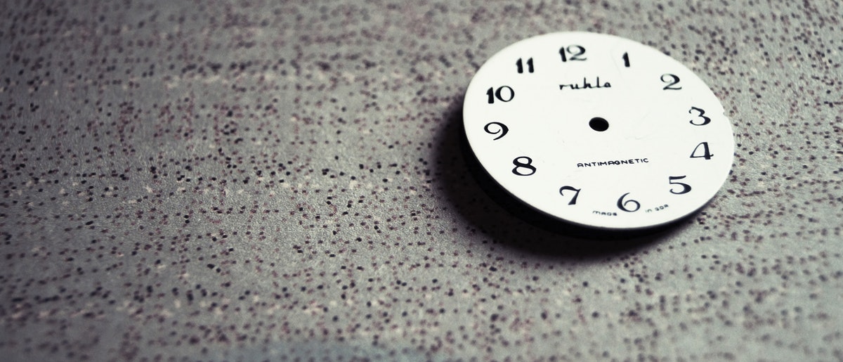 Bild von ’nem Baumwipfelpfad